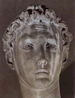 Testa del San Giorgio di Donatello, al museo del Bargello, Firenze