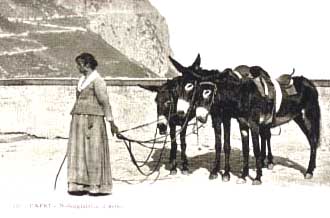 Capri. Noleggiatrice d'asisni d'inizio Novecento.
