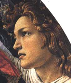 Botticelli - Angelo adolescente