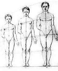 Crescita del corpo umano. Illustrazione d'inizio Ottocento 2
