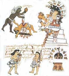 Scena di sacrificio umano e cannibalismo. Disegno azteco di et spagnola.