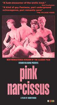 La copertina della videocassetta di Pink Narcissus.