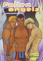 Copertina di ''Fallen angels'' di Cantero e Cujo