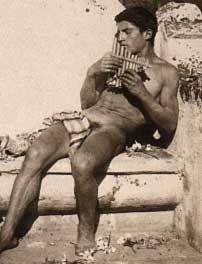 Wilhelm von Gloeden, Ragazzo che suona il fluato di Pan (dettaglio)