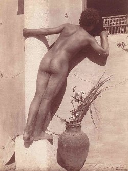 Wilhelm von Gloeden, Foto n. M 0350