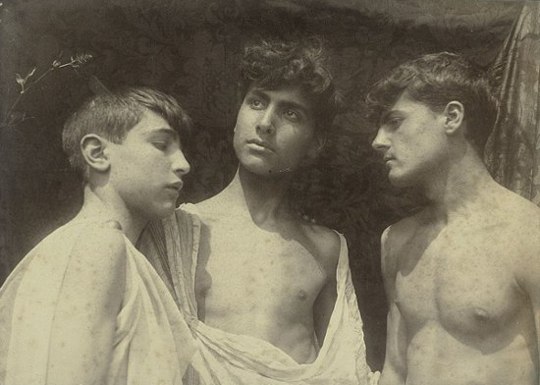 Wilhelm von Plueschow, Triplo ritratto