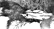 Oscar Wilde sul letto di morte. Parigi, 1900