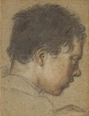 Anonimo veneto, Adolescente, sec. XVI.