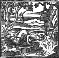 Alciati - Emblema ''Philauta'